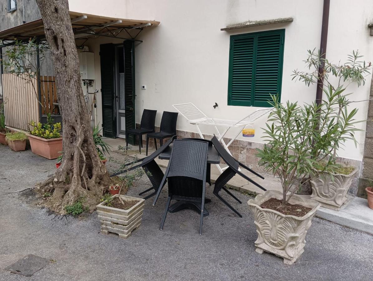 La Casina Fra Gli Olivi Villa Massarosa Buitenkant foto