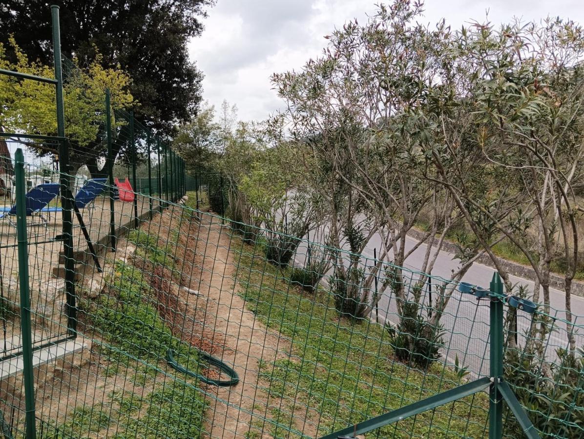La Casina Fra Gli Olivi Villa Massarosa Buitenkant foto